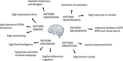 Autism and best sale cognitive development